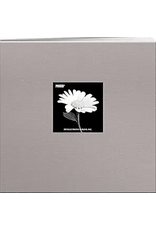 PIONEER PIONEER COUVERTURE EN TISSU GRIS PLATINE 8x8 ALBUM RELIURE À VIS AVEC FENÊTRE