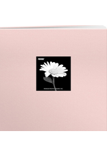 PIONEER PIONEER BOOK CLOTH COVER BLUSH PINK 8x8 POST BOUND ALBUM WITH WINDOW