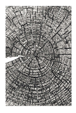 SIZZIX SIZZIX TIM HOLTZ 3D TEXTURE FADES CERNES DE CROISSANCE GRAND DOSSIER À GAUFRAGE A5