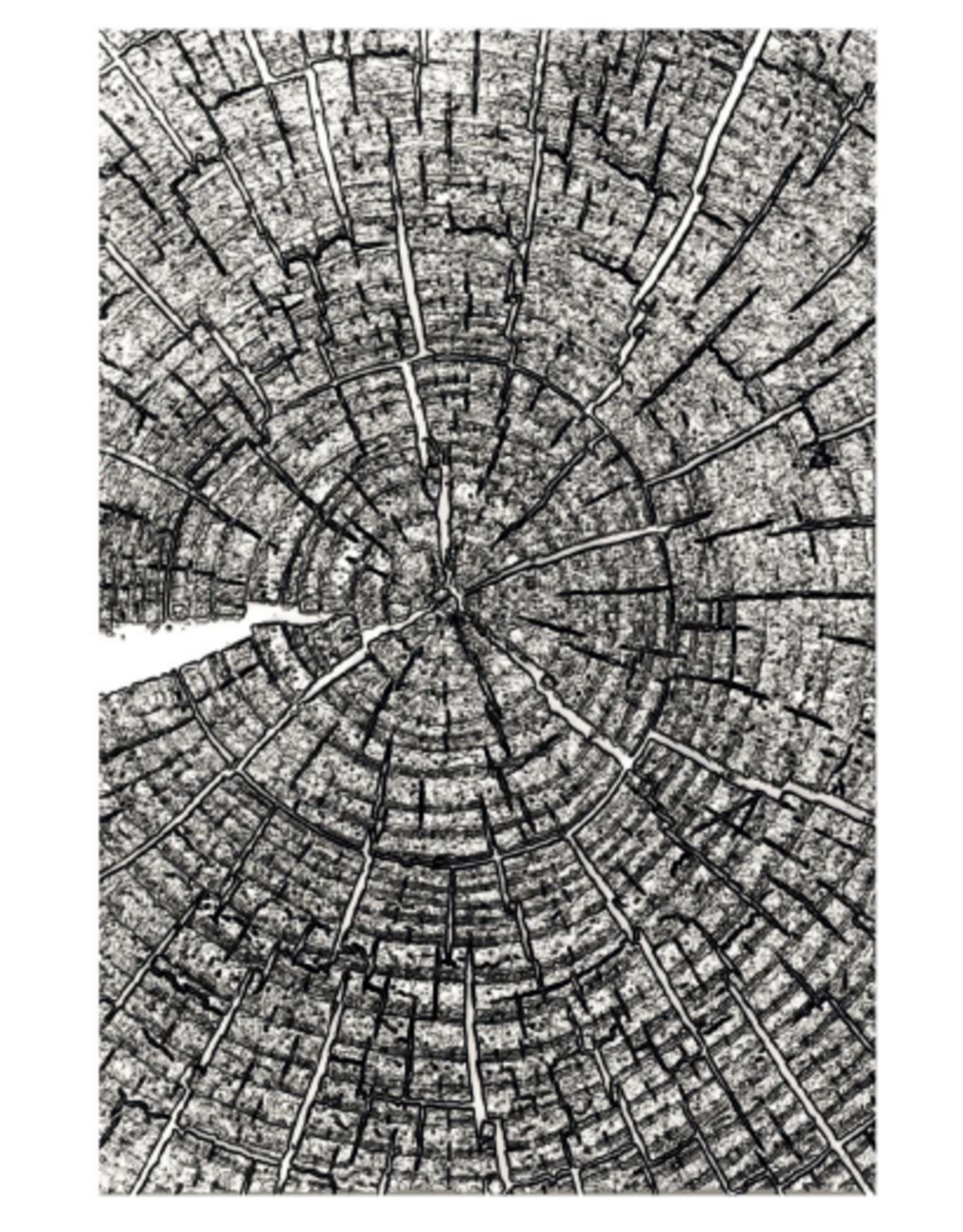 SIZZIX SIZZIX TIM HOLTZ 3D TEXTURE FADES CERNES DE CROISSANCE GRAND DOSSIER À GAUFRAGE A5