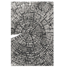 SIZZIX SIZZIX TIM HOLTZ 3D TEXTURE FADES CERNES DE CROISSANCE GRAND DOSSIER À GAUFRAGE A5