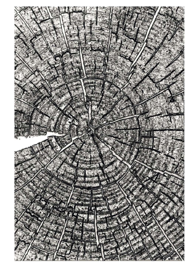 SIZZIX SIZZIX TIM HOLTZ 3D TEXTURE FADES TREE RINGS LARGE A5 EMBOSSING FOLDER