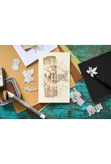 SIZZIX SIZZIX TIM HOLTZ THINLITS "VAULT" CLASSIQUE DES FÊTES ENSEMBLE DE MATRICES DE DÉCOUPE
