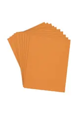 SPELLBINDERS SPELLBINDERS CAROTTE COLORWHEEL PAPIER CARTONNÉ 8.5x11 10/PK