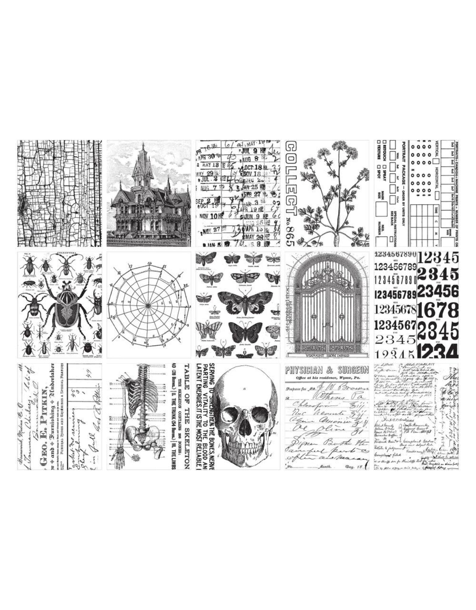 ADVANTUS TIM HOLTZ IDEA-OLOGY HALLOWEEN 2024 PAPIER POUR COLLAGE 30PC
