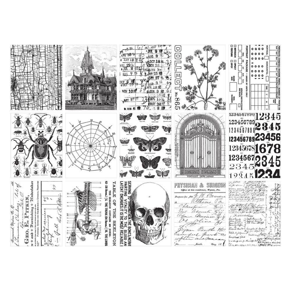 ADVANTUS TIM HOLTZ IDEA-OLOGY HALLOWEEN 2024 COLLAGE PAPER 30PC
