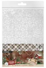 STUDIOLIGHT STUDIOLIGHT COTTAGE CHRISTMAS PLAID & SNOW ACETATE SHEETS