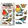 AALL & CREATE AALL & CREATE AUTOUR DE MWA #1349 ROBIN SPROUT A6 CLEAR STAMP SET