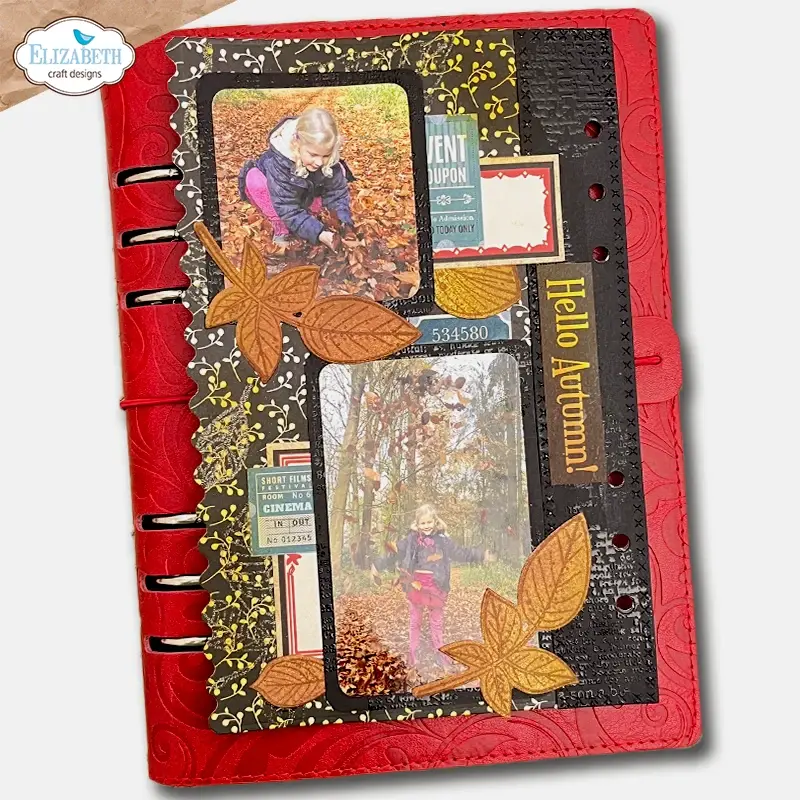 ELIZABETH CRAFT DESIGNS ELIZABETH CRAFT DESIGNS EVERYDAY MEMORIES COMFY COZY SEASONAL WORDS & LEAVES CLEAR STAMP & DIE SET