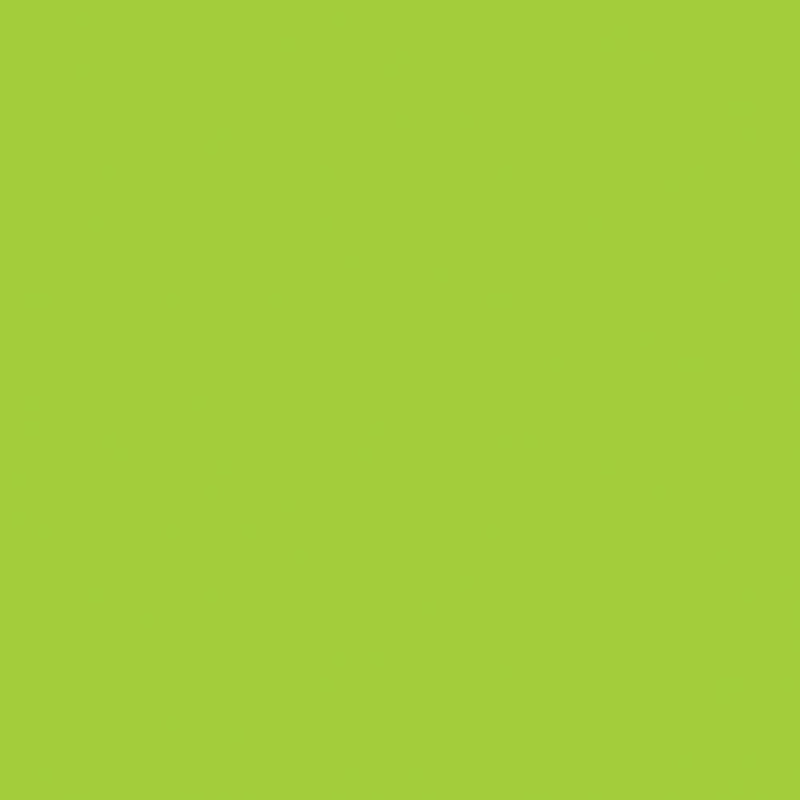 RANGER DYLUSIONS INK SPRAY ISLAND PARROT 2OZ