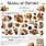 CRAFT O'CLOCK CRAFT O'CLOCK SHADES OF NATURE EXTRAS SET - FLOWERS 12x12 COLLECTION PACK 8 SHEETS