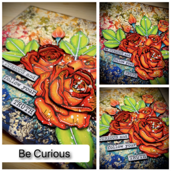 TRACY SCOTT CLASS  BE CURIOUS NOV 7 2026 9h30 - 15h30
