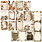 49 AND MARKET 49 AND MARKET SEASON'S BOUNTY FOREVER 12x12 CARDSTOCK