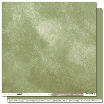 LES ATELIERS DE KARINE LES ATELIERS DE KARINE HISTOIRES AU NATUREL BACK TO BASICS FOUGÈRE 12x12 CARDSTOCK