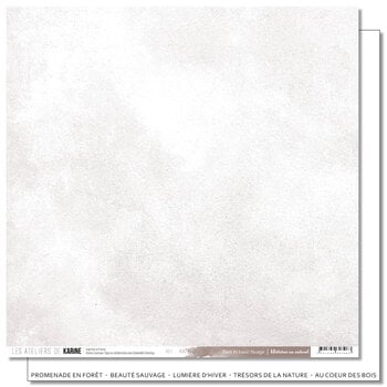 LES ATELIERS DE KARINE LES ATELIERS DE KARINE HISTOIRES AU NATUREL BACK TO BASICS NUAGE 12x12 CARDSTOCK