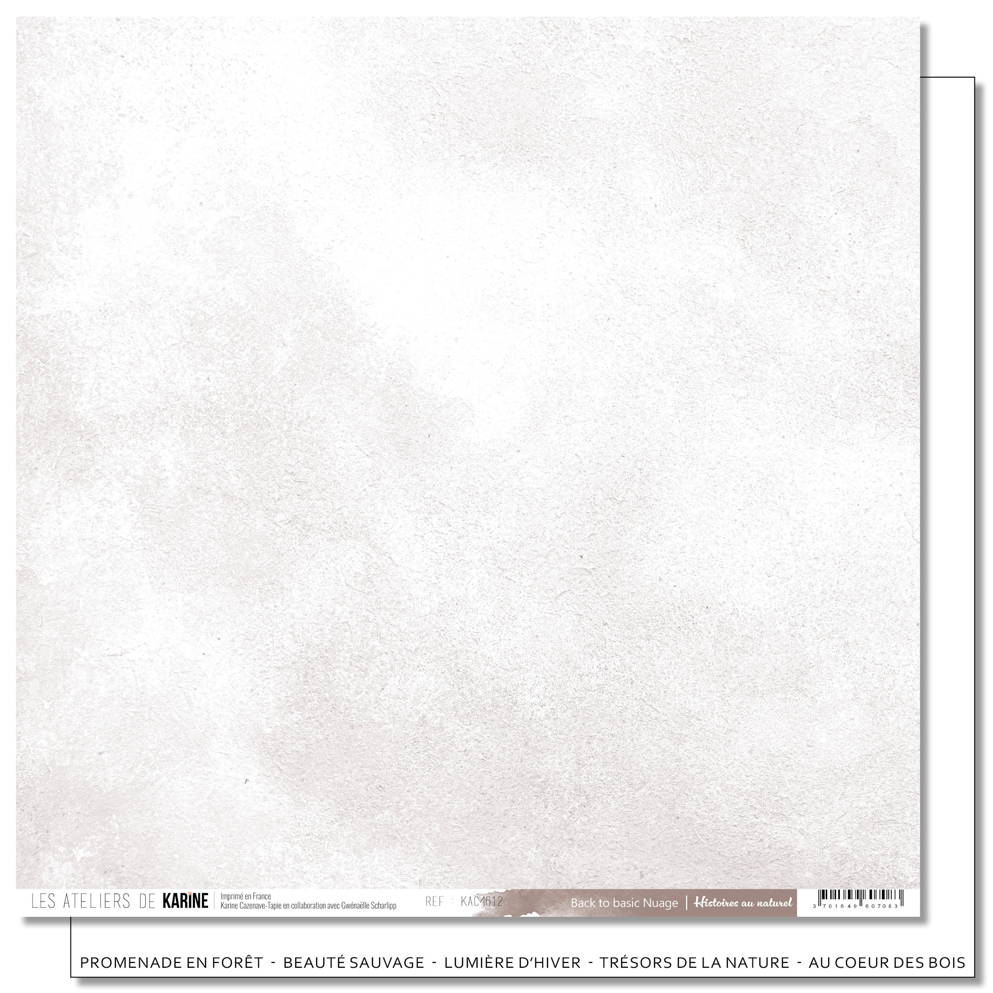 LES ATELIERS DE KARINE LES ATELIERS DE KARINE HISTOIRES AU NATUREL BACK TO BASICS NUAGE 12x12 CARDSTOCK
