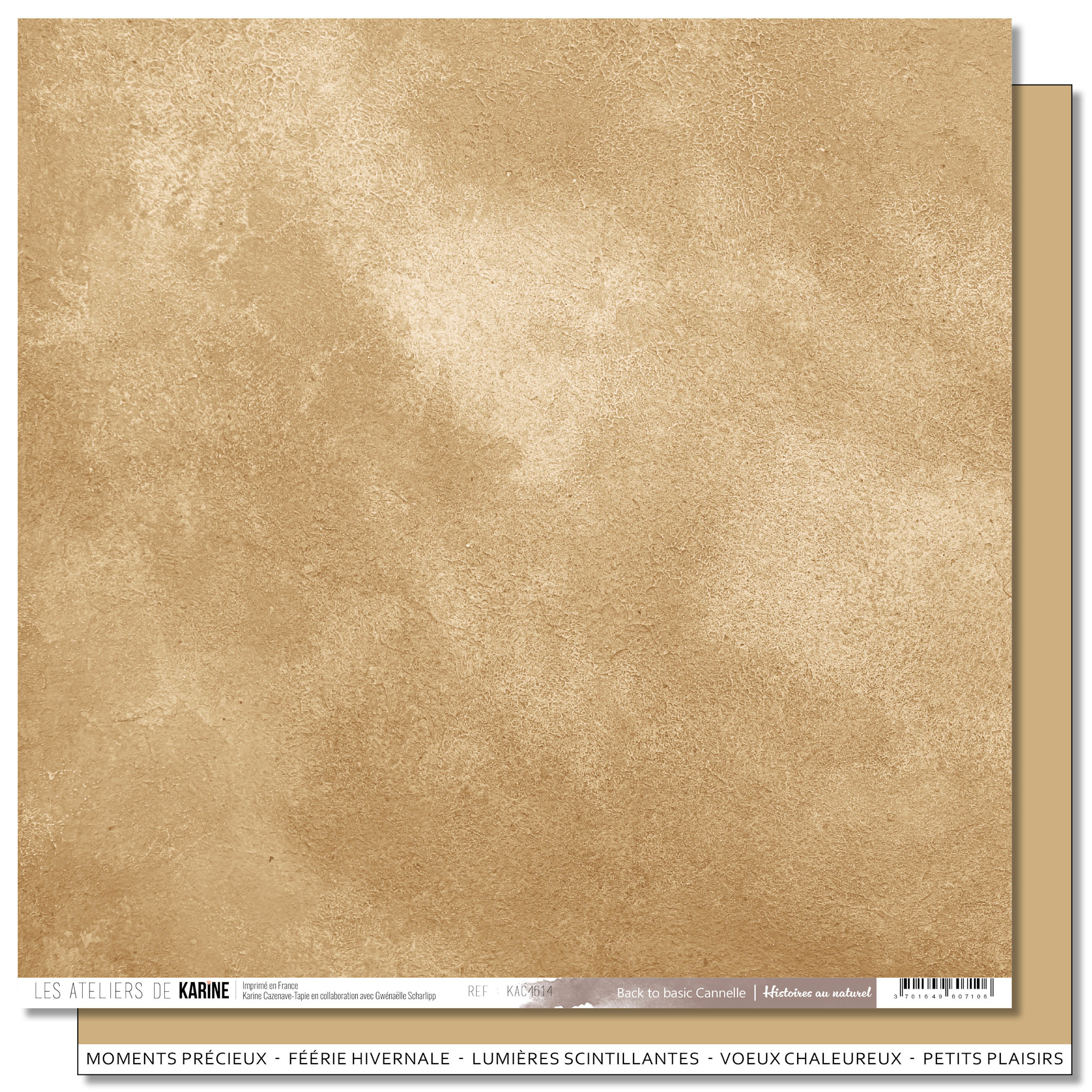 LES ATELIERS DE KARINE LES ATELIERS DE KARINE HISTOIRES AU NATUREL BACK TO BASICS CANNELLE 12x12 CARDSTOCK