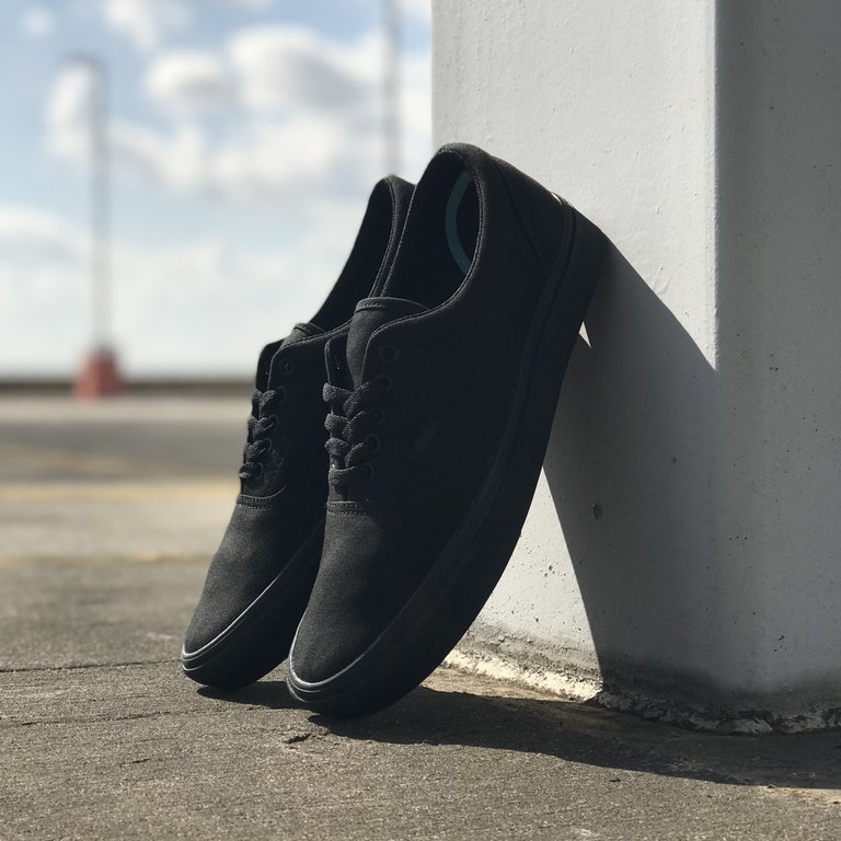 comfycush pinned era vans