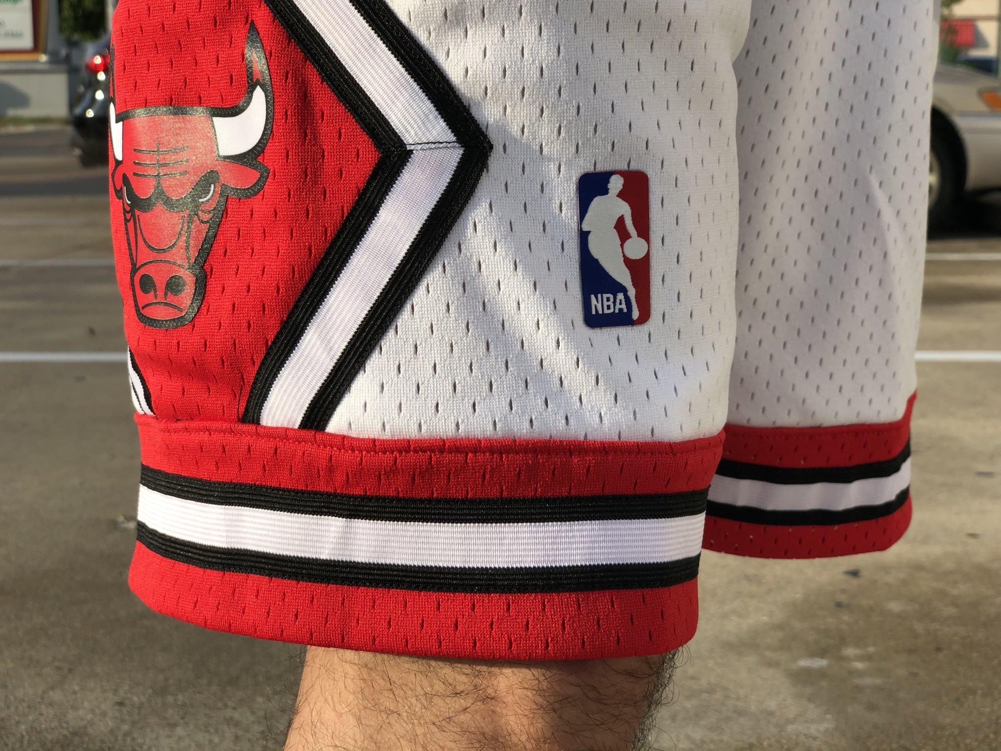 Wyst Basketball Shorts (Bulls Stripe Red) – Haus of JR