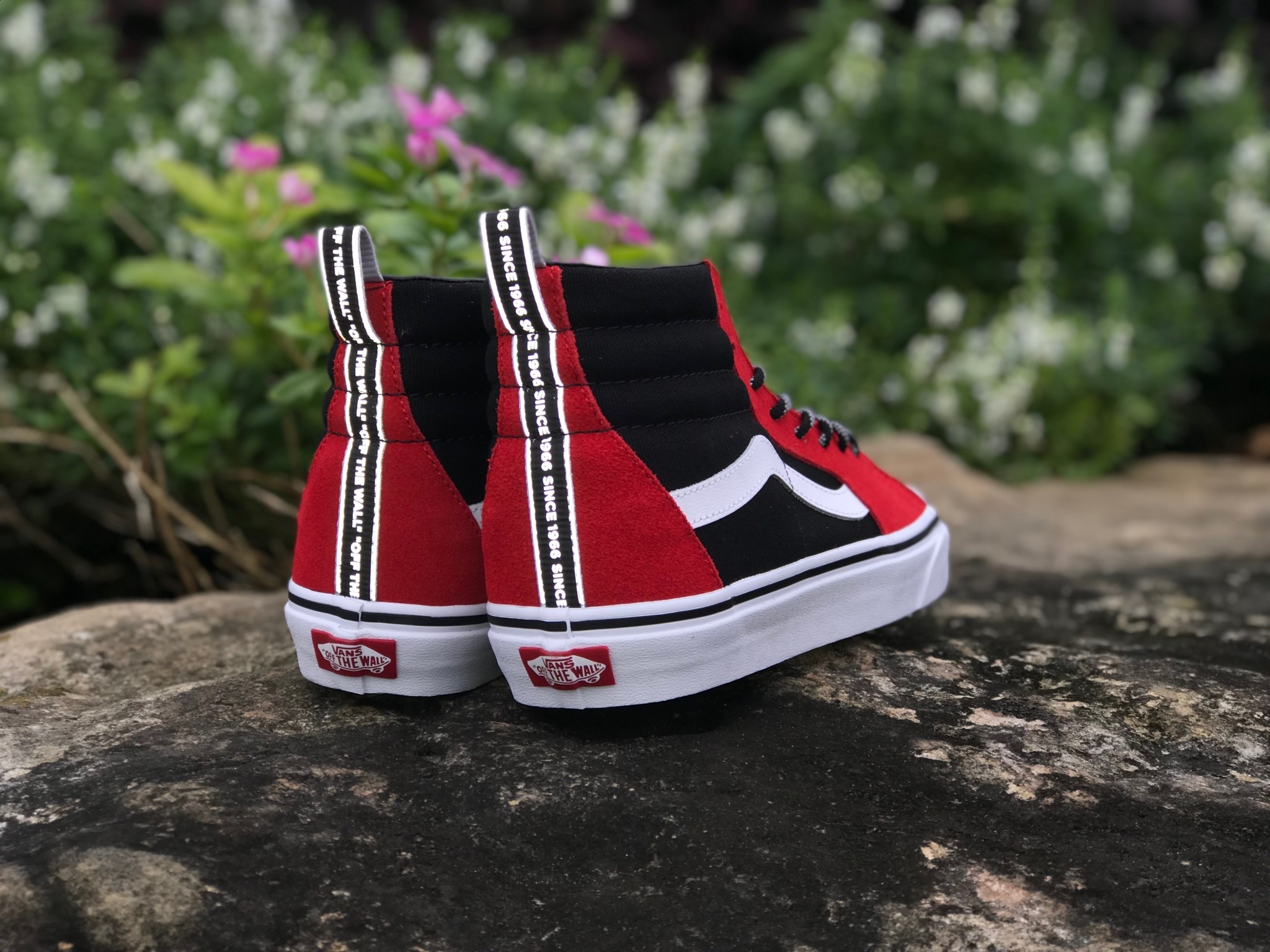 Sk8 Hi OTW Webbing - Eight One