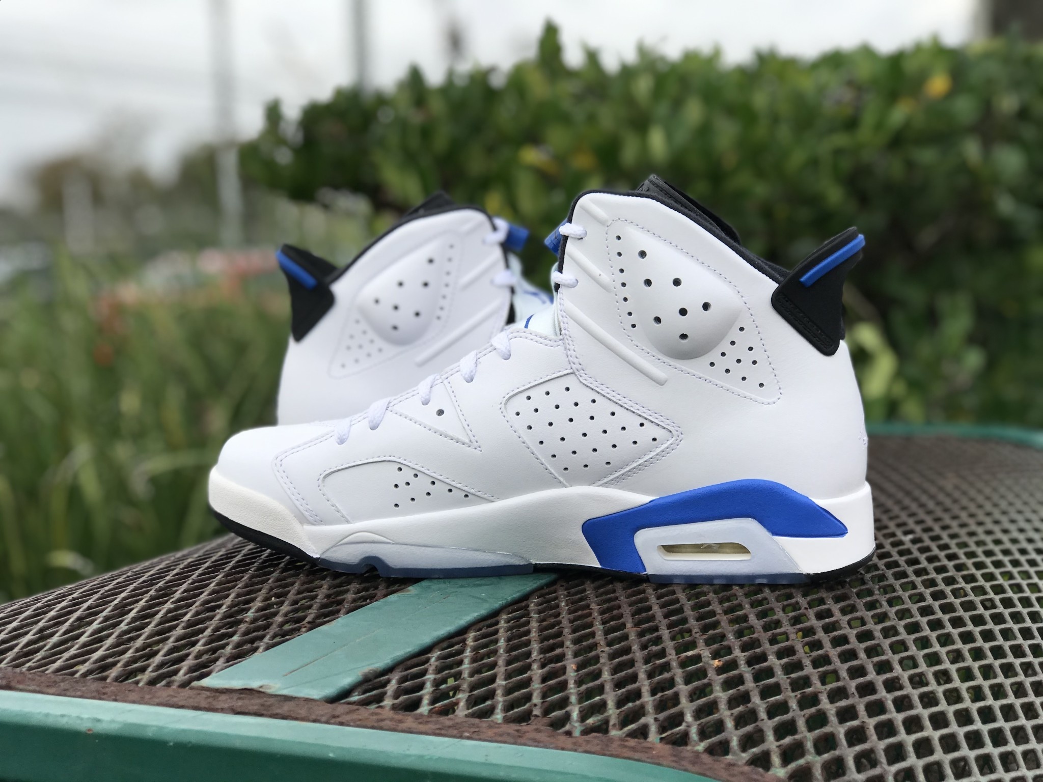 jordan retro 6 blue and white