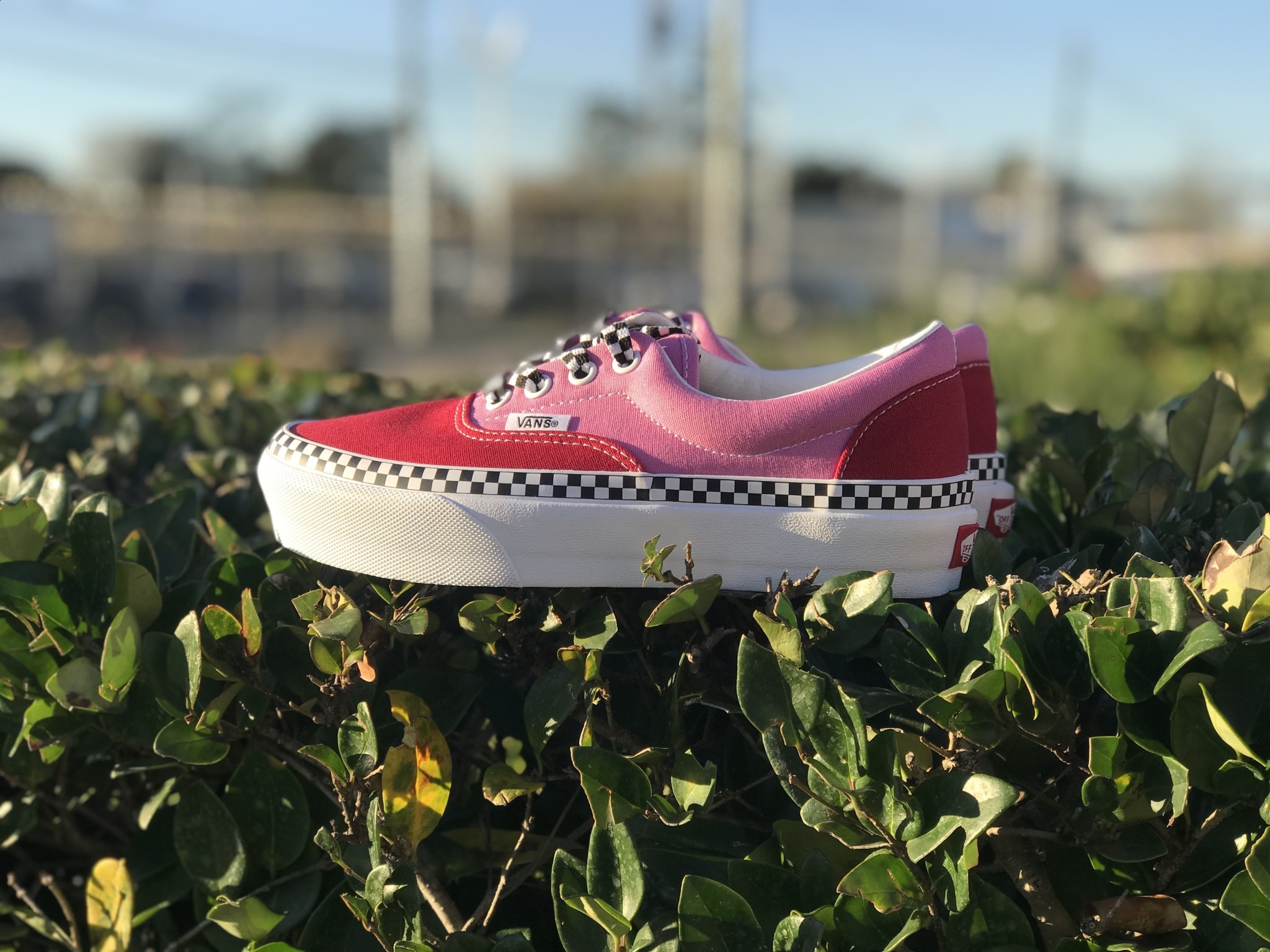 vans era platform