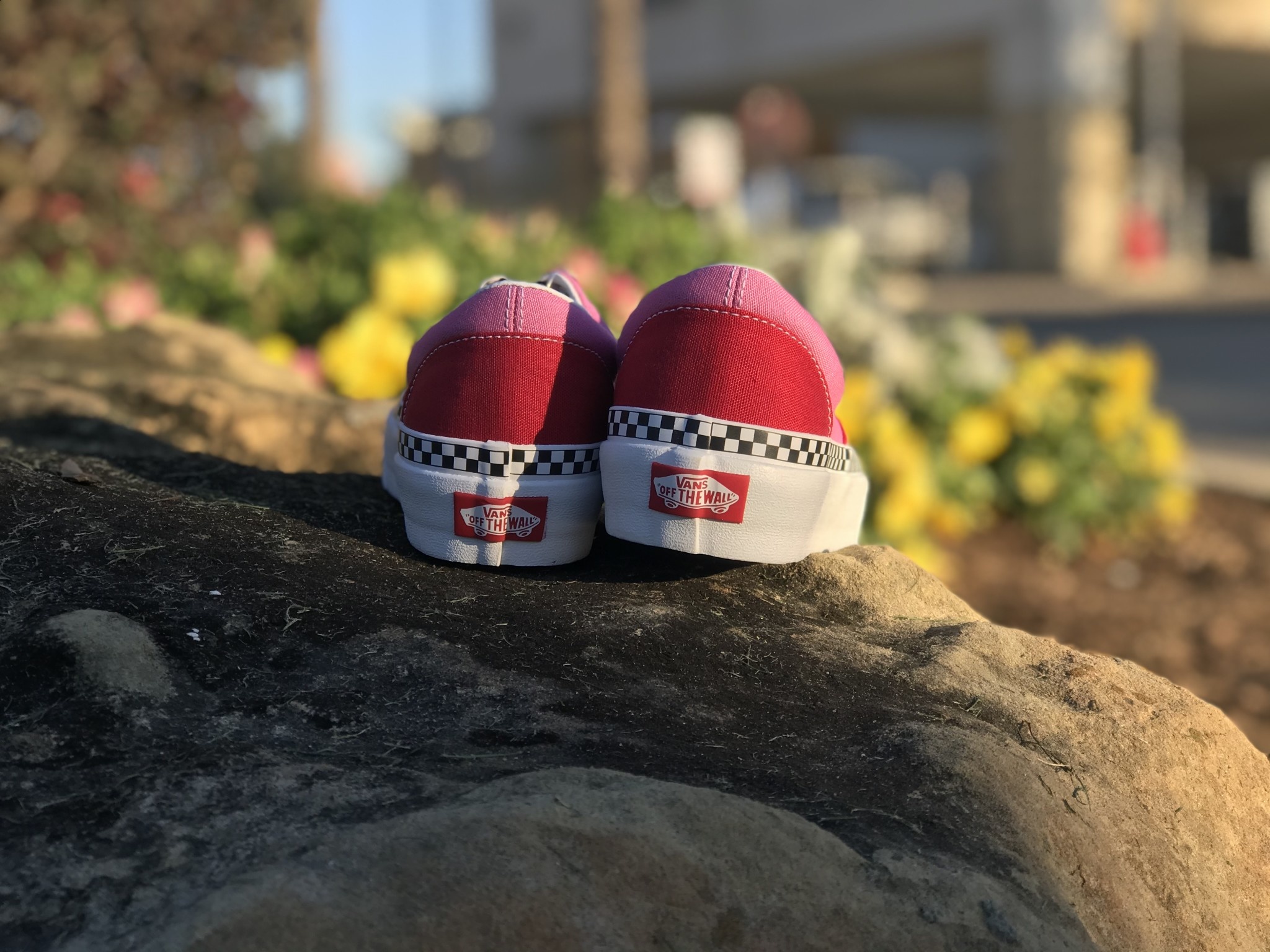 vans 2 tone era platform