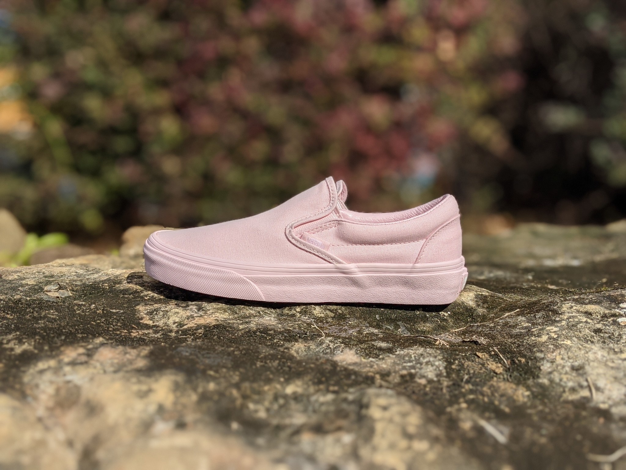 blushing bride checkerboard vans