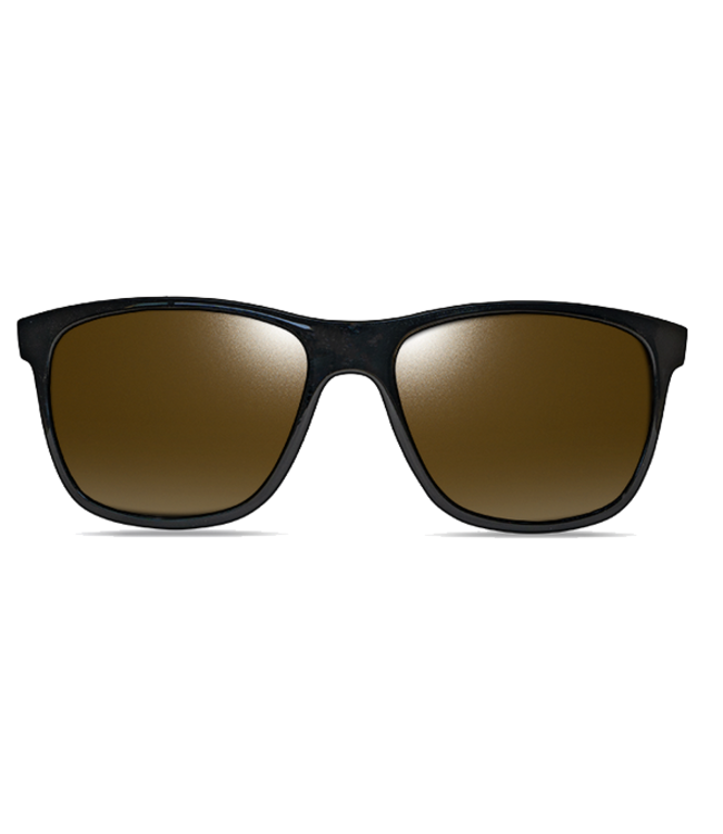 Dillon Dillon  Fareway Shiny BLK GLD NIR Polar 50684