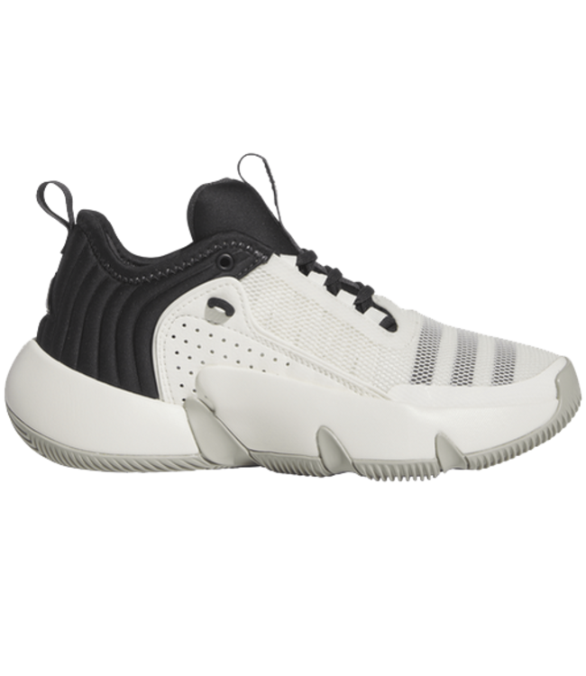 Adidas Men's Trae Young 2 Basketball Shoes, White/Grey/White / 11