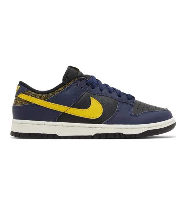 nike Nike Mens Dunk Low Retro FZ4014 010