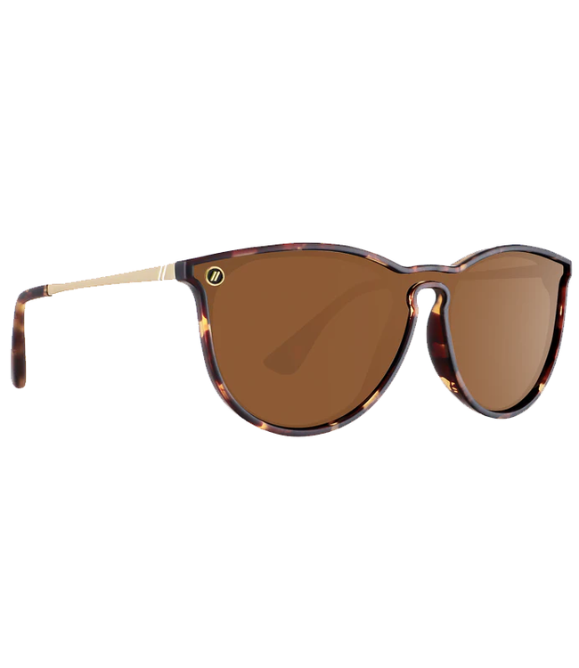 Blenders Blenders Northpark X2