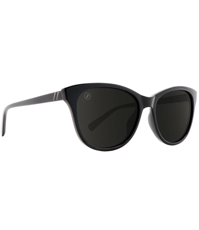 Blenders Blenders Palmy