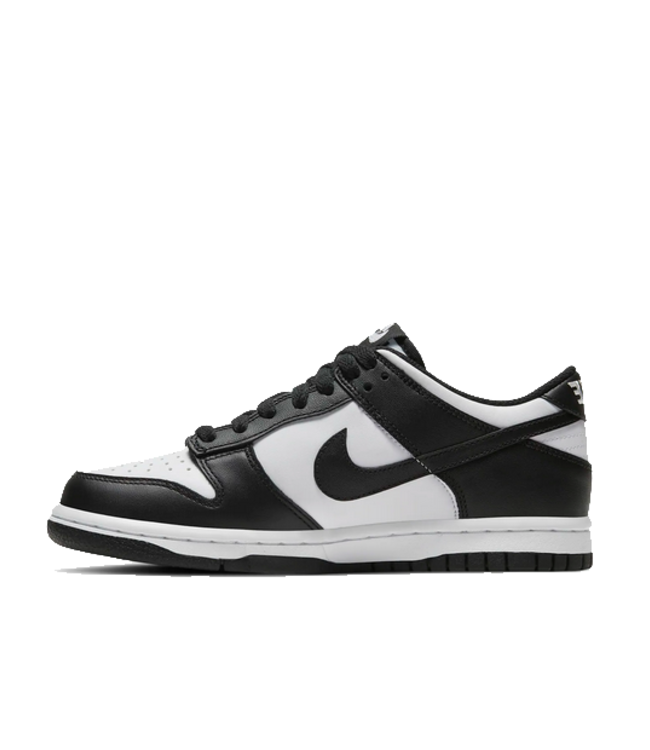 nike Nike Youth Dunk Low CW1590 100