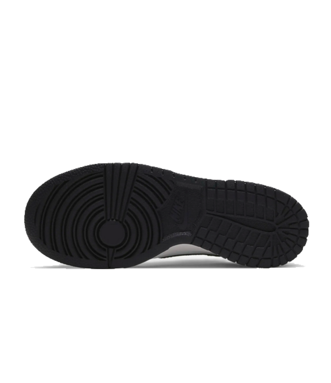 nike Nike Youth Dunk Low CW1590 100