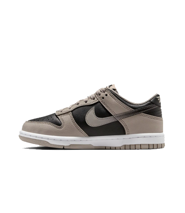 nike Nike Youth Dunk Low HV6363 009