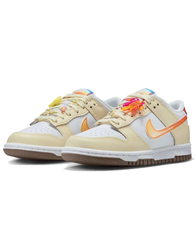 nike Nike Youth Dunk Low IB8891 191