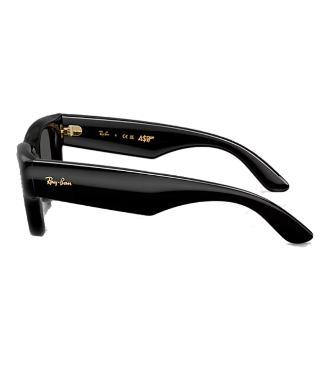 Ray Ban Ray Ban A$AP Rocky Wayfarer Puffer Black  ORB4940
