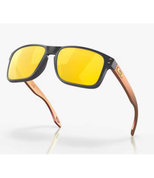 Oakley Oakley Holbrook Matte Carbon  Prizm 24K Polar OO9102  W455