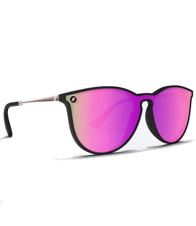 Blenders Blenders Northpark X2