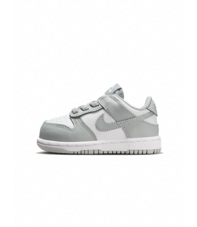 nike Nike Youth Dunk Low FB9107 123