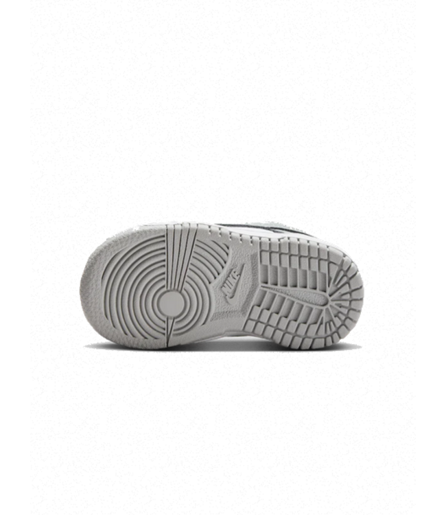 nike Nike Youth Dunk Low FB9107 123