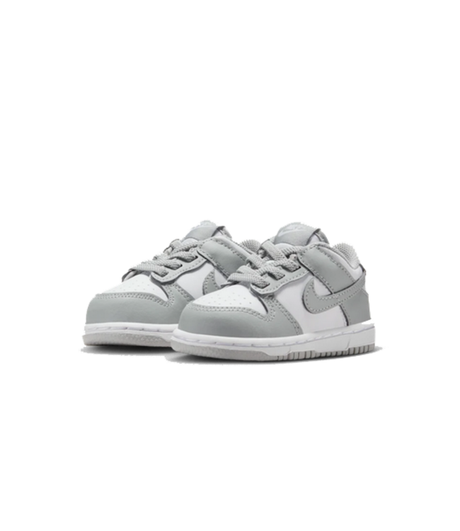 nike Nike Youth Dunk Low FB9107 123