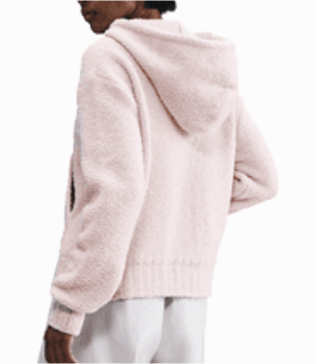 nike Nike Wmns NSW Phoenix Cozy Hoodie HV2768 667