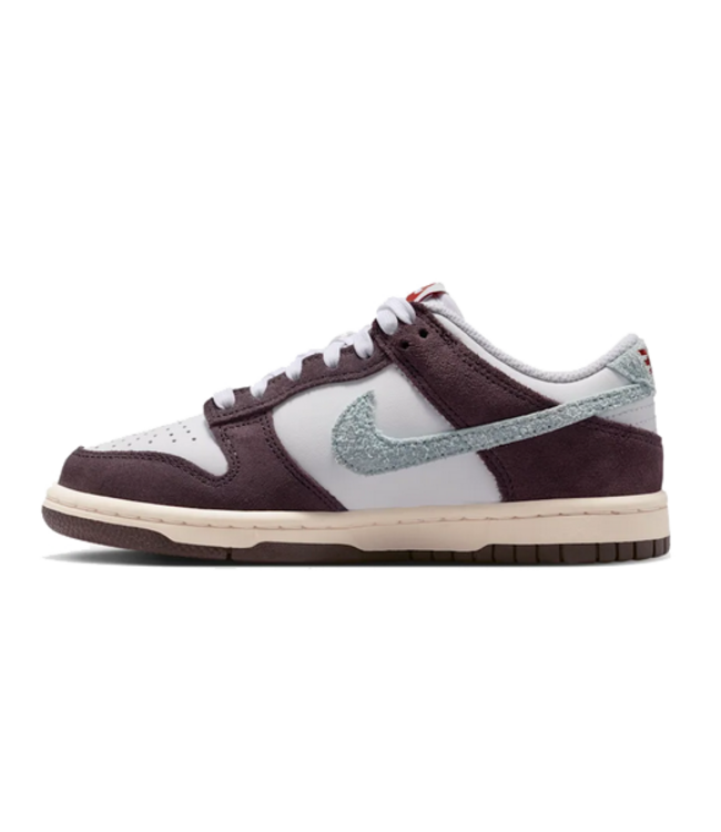 nike Nike Youth Dunk Low SE IB5691 100