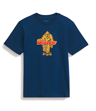 Vans Vans Youth Big Push TShirt VN000TBBFOB