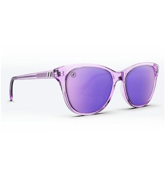 Blenders Blenders Palmy