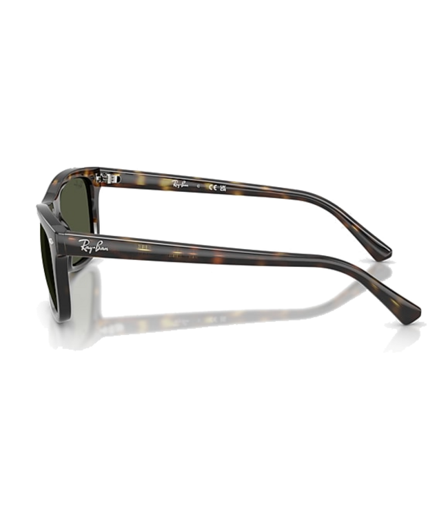 Ray Ban Ray Ban  Havana W/ Green ORB2226 710/31