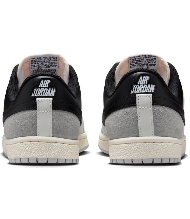 Jordan Jordan Wmns Skyline Low IQ0704 101