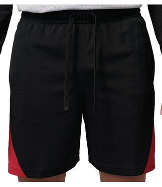 Jordan Jordan Mens Basketball Shorts IQ5775 010